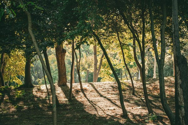 Comment devenir un nutritionniste certifié